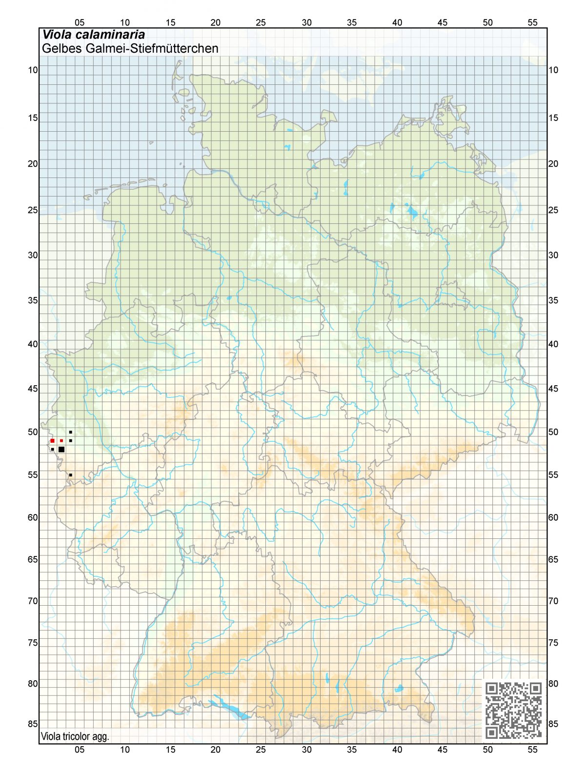 Pflanzen im Fokus Pflanzen im Fokus